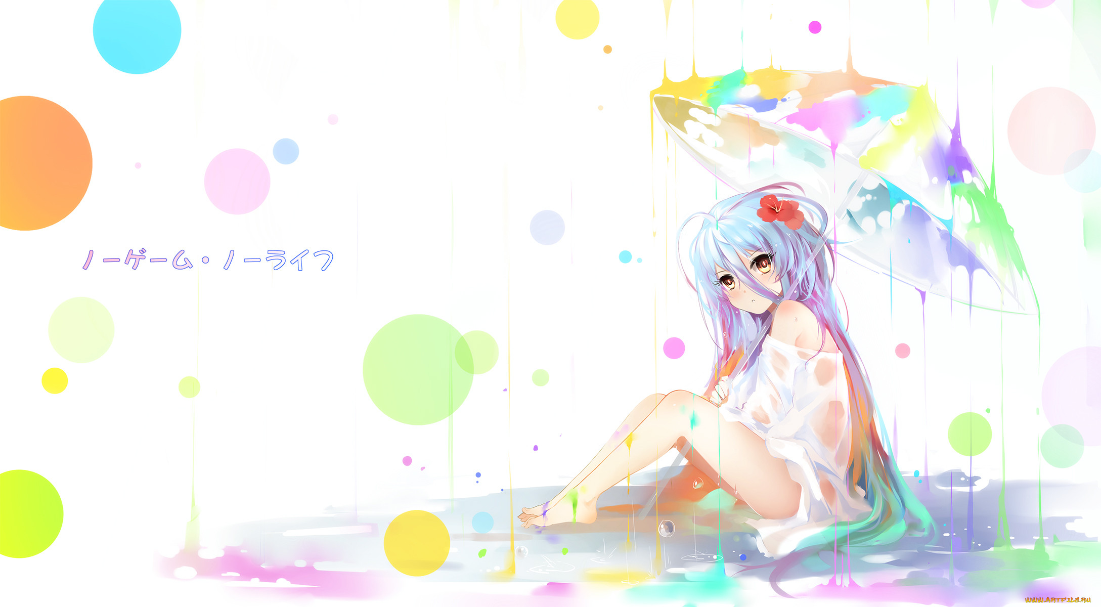 , no game no life, no, game, life, shiro, bba, biao